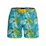 Мужские шорты для плавания с растительным принтом Doreanse