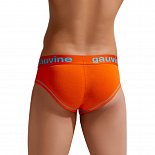 Мужские трусы-брифы Colours of the Planet Trunk