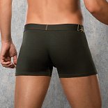 Боксеры с золотистыми контурными линиями Doreanse Panel