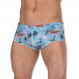 Бирюзовые мужские плавки с оригинальным принтом Doreanse Mayo