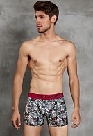 Мужские трусы-боксеры Doreanse Wild Tiger